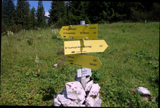Wegteilung Spitzalm 1370m