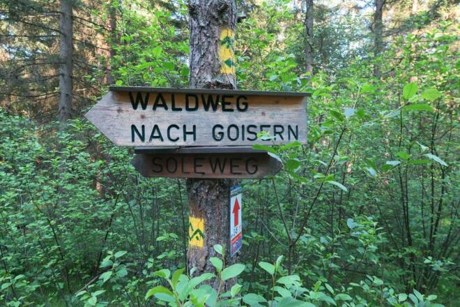 Jetzt hatte ich noch einen langen Rückmarsch, der Soleweg war schön zu laufen