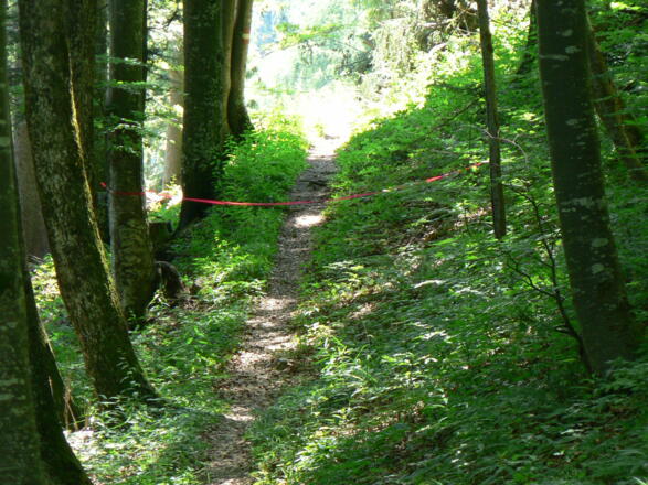 Plötzlich sperrt ein rotes Band den Weg