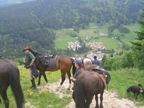 Blick vom Moosberg in das Losergebiet