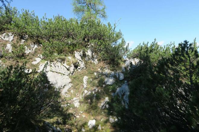 Man muss schon immer genau achtgeben, dass man die spärlichen Markierungen in Form von Punkten nicht verlier