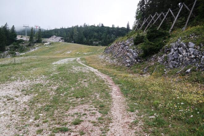 Das letzte Stück führt - wenig erquicklich - teilweise auf der Schipiste.