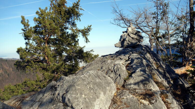 Nordgipfel Sonnstein ~1050m