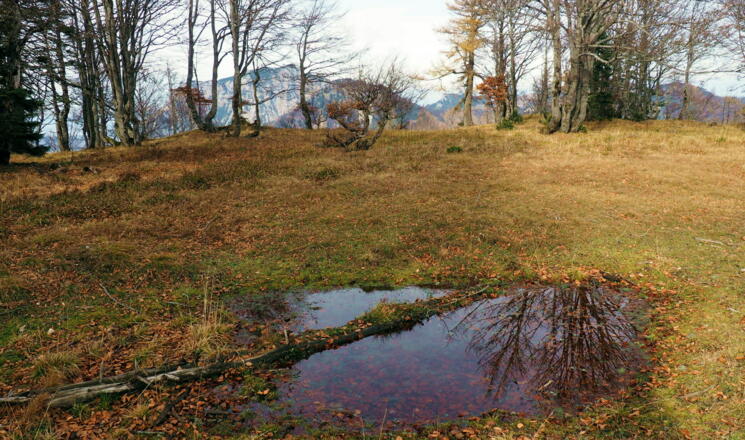 Lacke um 1380m Senke Schnellerplan