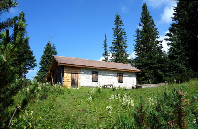 Vordere Spitzalm 1381m