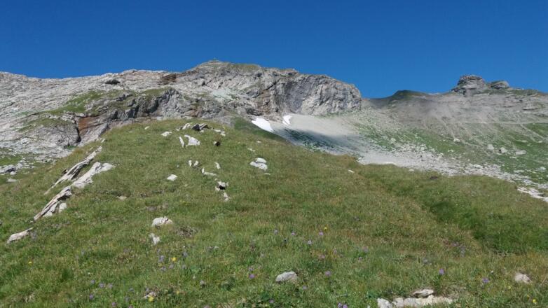 Naafkopf mit Vorfelsen vom Liechtensteiner Höhenweg aus.
