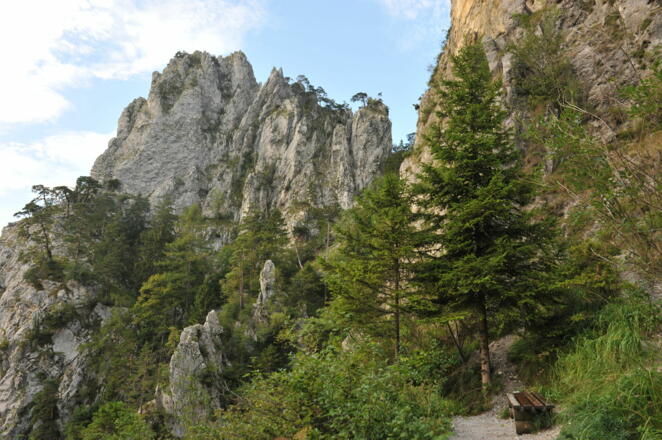 Ausblick auf den Adlerhorst