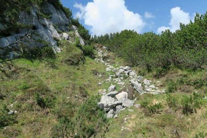 Zwischen Felsen und Latschen hindurch