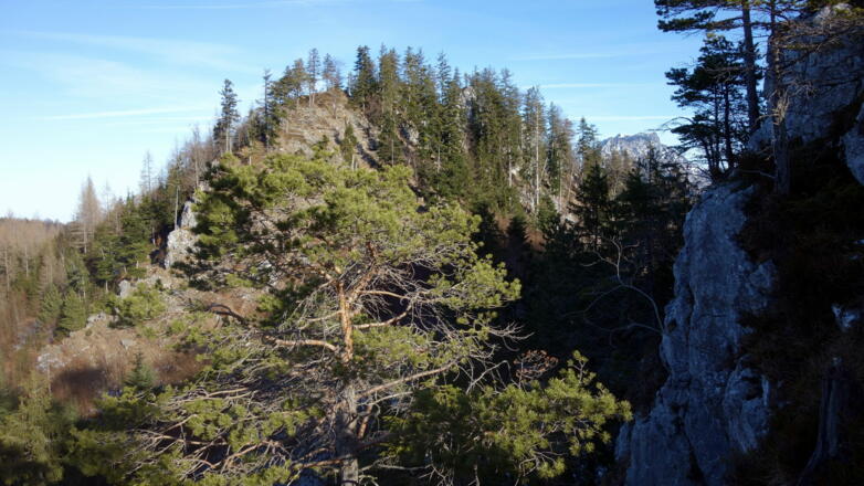 Der höhere Nordgipfel ~1050m