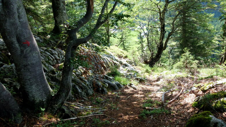 Abstiegsbeginn (Pfeil)