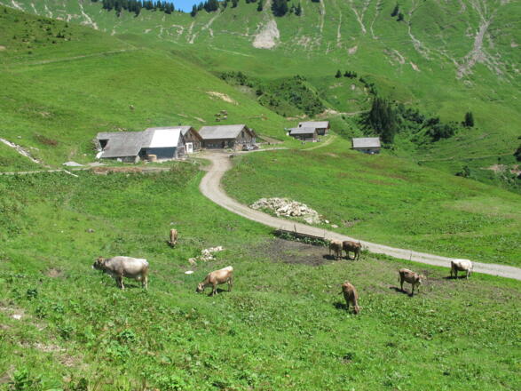  Walser Alpsiedlung Sentumalpe