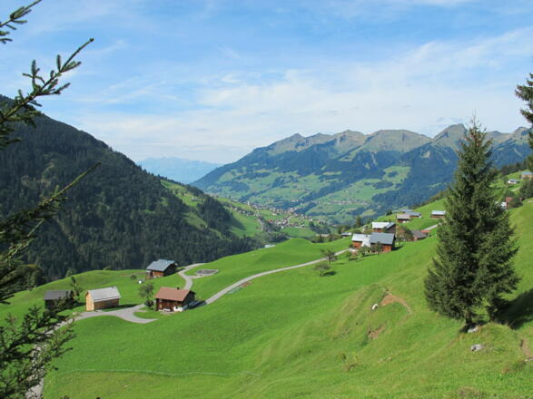 Blick auf die Maruler Parzelle Ahorn und das vordere Große Walsertal mit dem Walser Kamm im Hintergrund