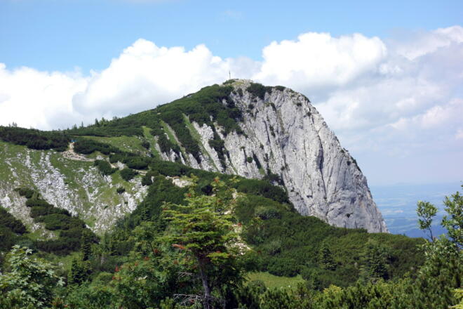 Alberfeld Kogel 1707m