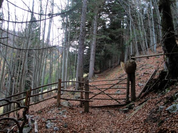 Haben wir diesen markanten Zaun erreicht, ist es nicht mehr weit zur Sommeraualm.