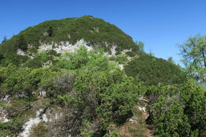 Gipfelaufbau Löckerkogel, die Latschengasse ist im rechten Bereich