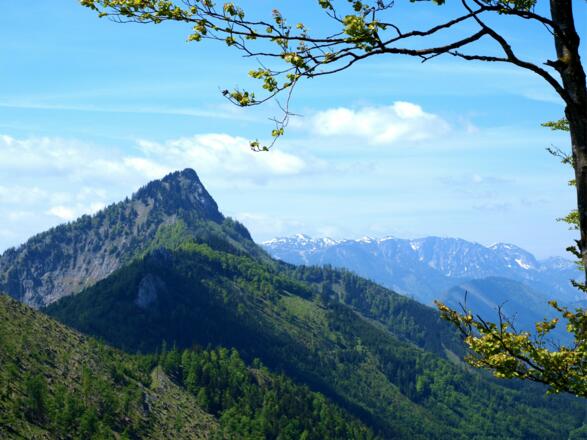 Hochkogel vom Durchgang (Zwillingskogel im Mai) gesehen