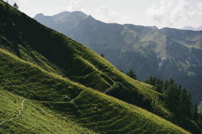 Weg Richtung Setschalpe (c) Dominic Berchtold / Vorarlberg Tourismus