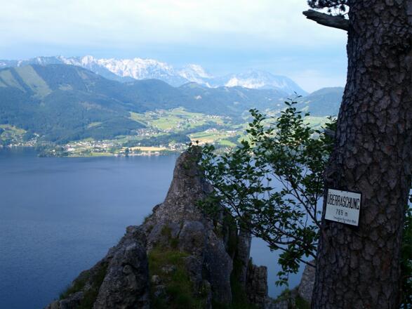 Wegpunkt 789 m &quot;Überraschung&quot;