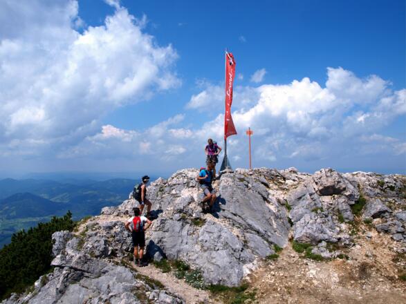 Traunkirchner Kogel 1580m