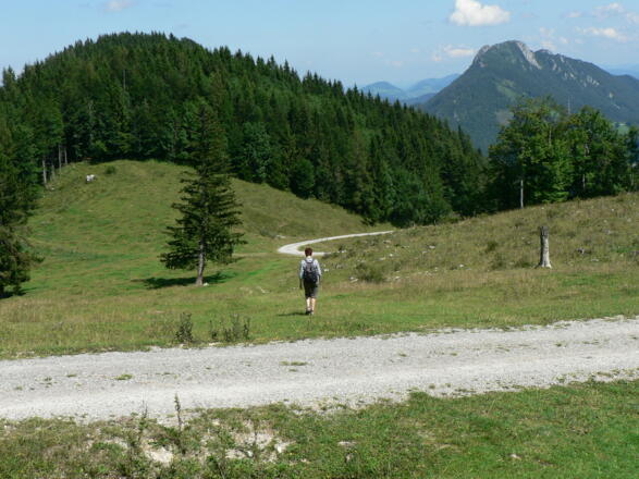 Der Weg führt immer geradewegs hinunter