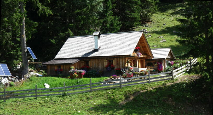 Abstieg von den Hütteneckalmen (Hütte ~1220m)