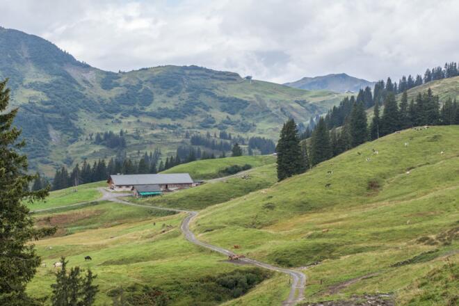 Blick auf Mittelargenalpe