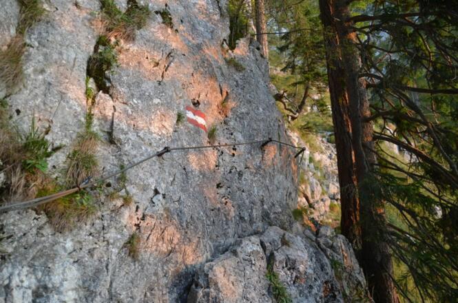 es wird &quot;alpiner&quot; oberhalb des Dachsteinblickes