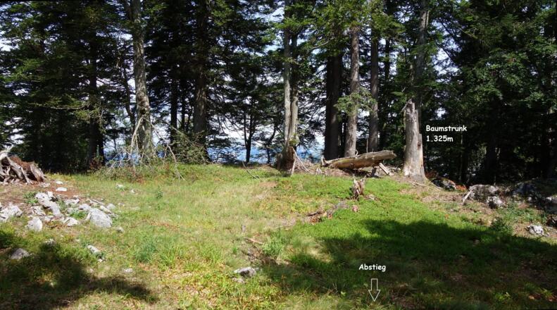 Kamm 1325m beim Baumstrunk