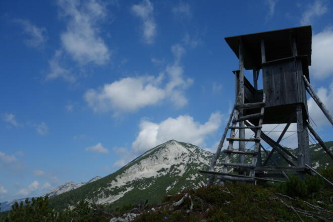 Jagastand am Schneekogel 1403m