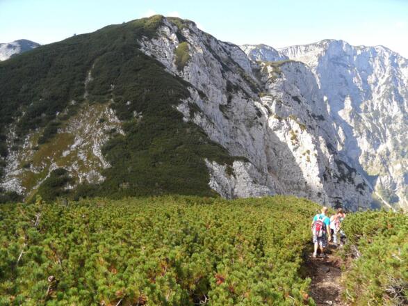 Durch Latschenfelder geht es zur Rieder Hütte