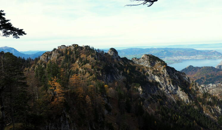 Blick vom Gratgipfel zum Gasselkogel