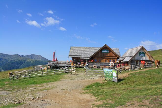 Blutige Alm Hütte in Innerkrems 