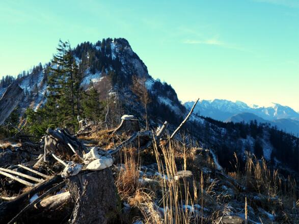 Gratschneide um 1270m mit Hochkogel