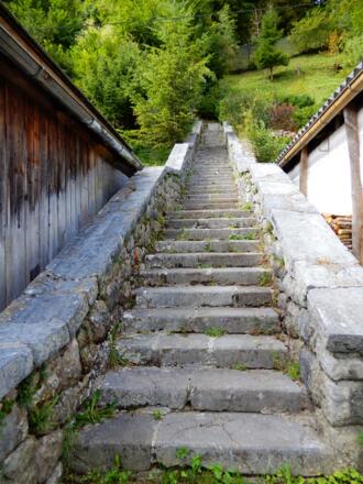 Ebensee, Anstieg zum Feuerkogel