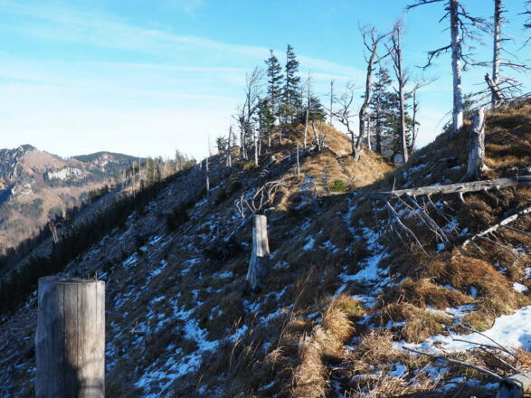 Gratabstieg bei ~1275m