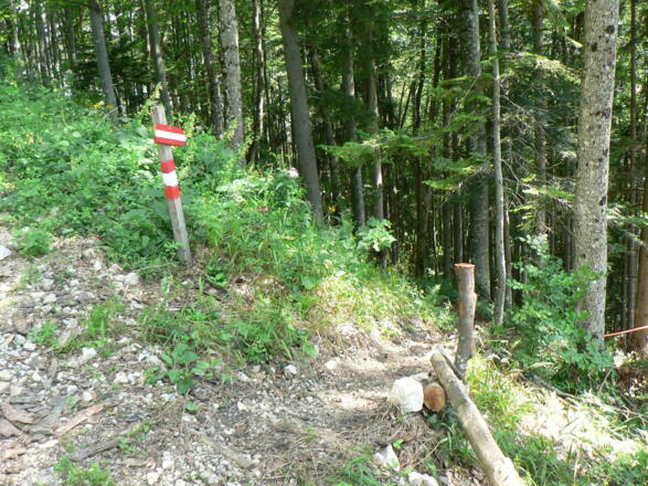 ...doch der Steig wurde schon umgelegt