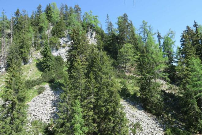 Auch beim Elferkogel hielt ich mich rechts, zuerst zuweit rechts, dass ich fast den Gipfel verpasst hätte