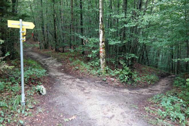 Die obere der beiden Wegkreuzungen. Wir halten uns immer links am Rücken.