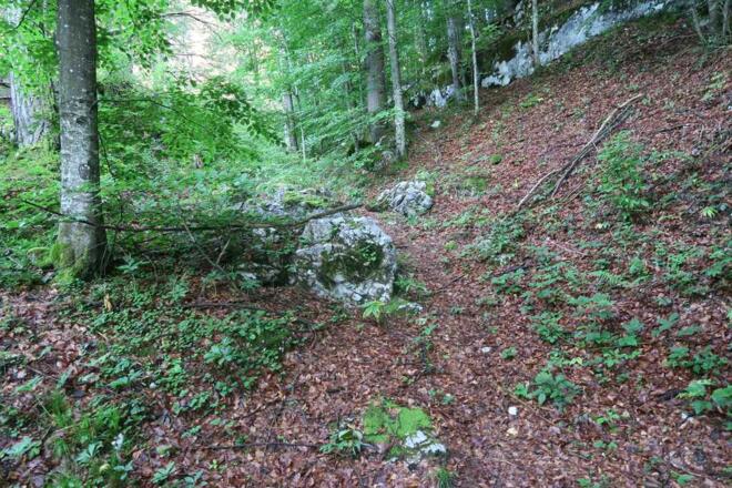Ein ein Stück den Soleleitungsweg und dann links den Steig entlang