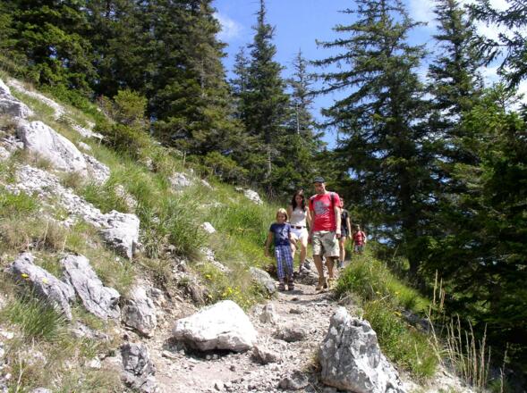 Normalwegabstieg vom Gr. Schoberstein