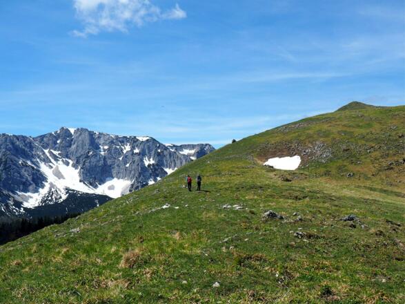 Am oberen Plateau um 1500m
