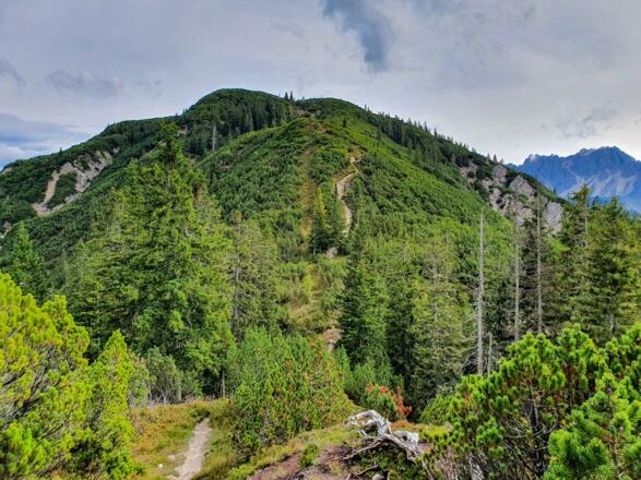 Blick zurück zum Zäunlkopf