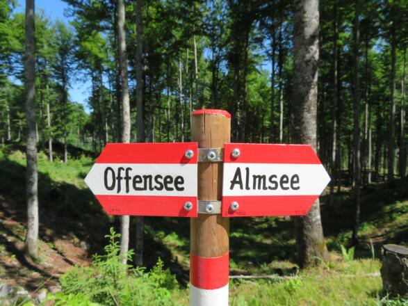 Am Möserberg Richtung Offensee