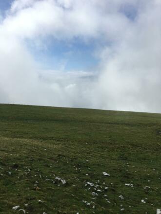 Richtung Trattberg Gipfel 