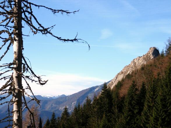 Spitzelsteinkamm ~1170m beim Abstieg