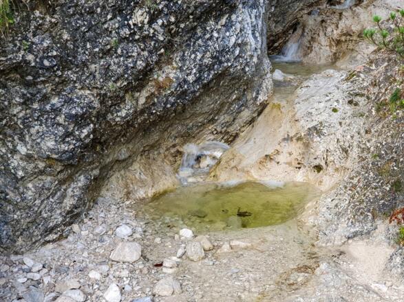 Schon auf dem Weg zur Gleirschklamm begleiten uns kleine Wasserfälle