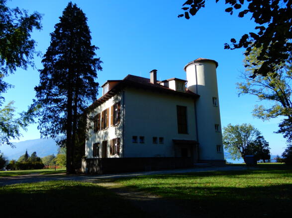 Weißenbach am Attersee