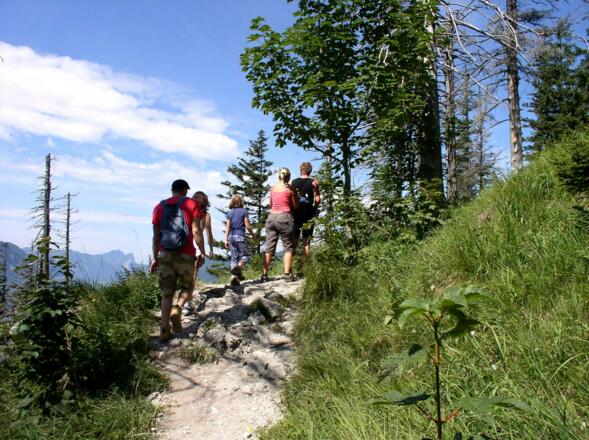 Am  Normalweg um 850 m