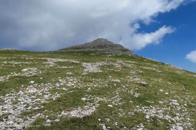 Jetzt weiß ich auch, warum der Grünberg heißt