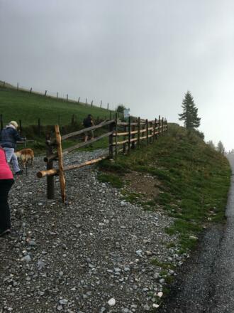 Wanderweg zum Gipfel am Trattberg 